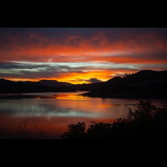 Meet your Posher, Holly - Picture 1 of 1